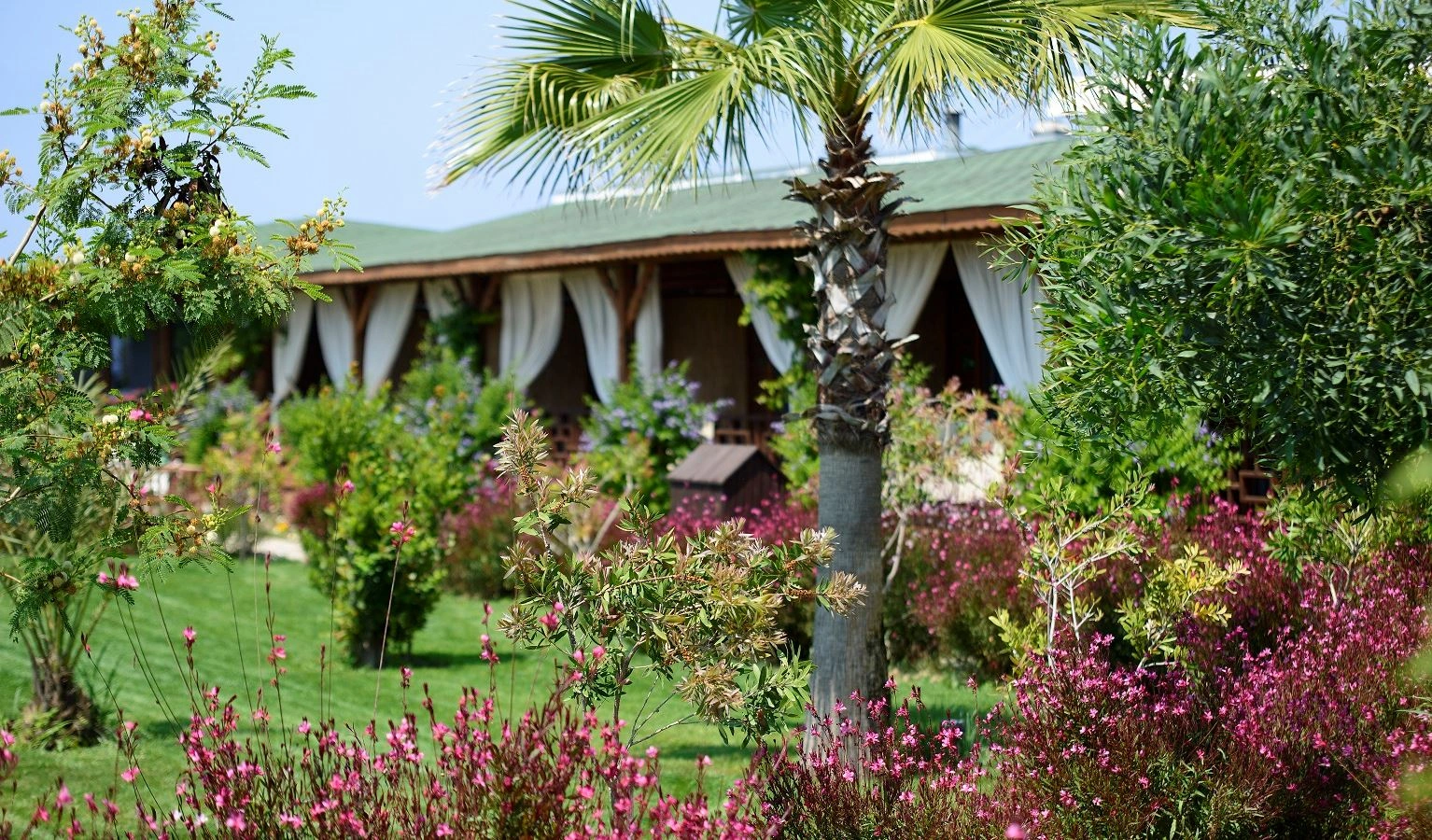 rooms-bungalow-sea-view