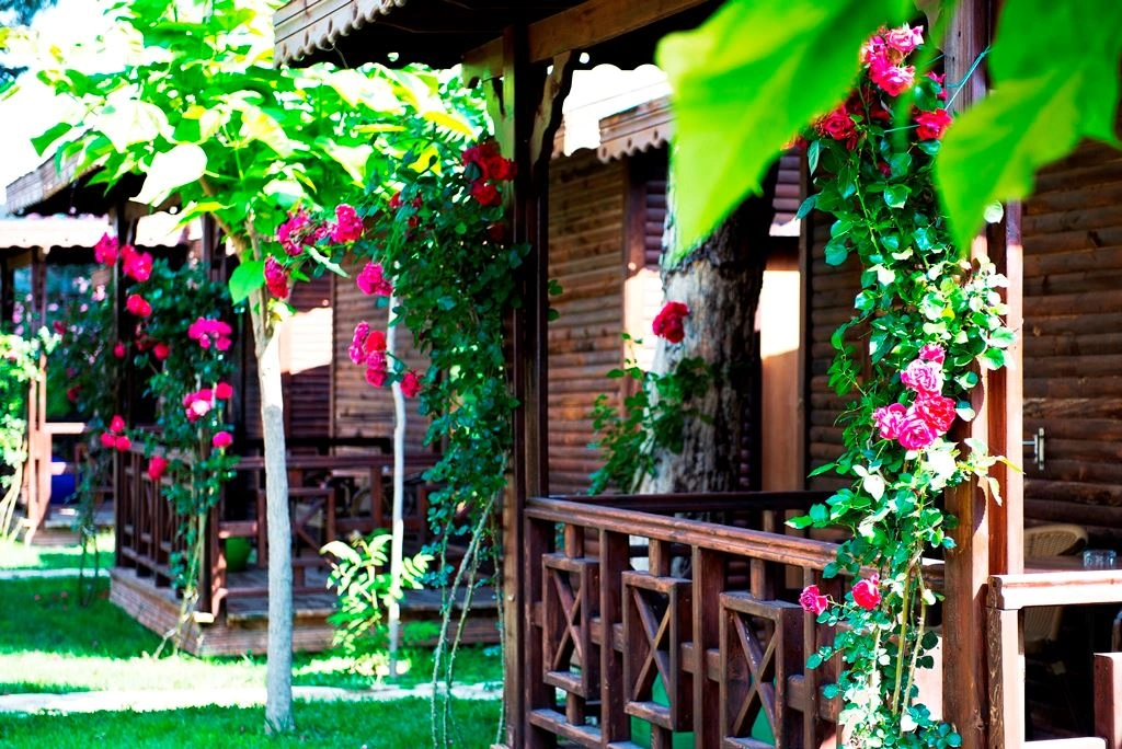 rooms-eco-promo-room