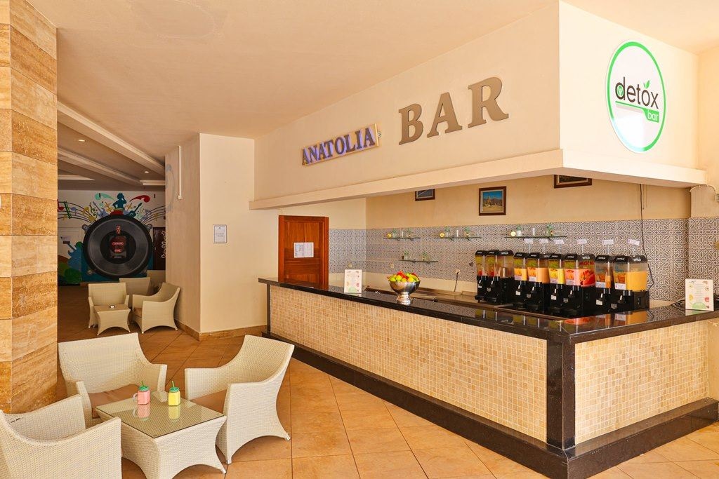 bars-anatolian--detox-bar