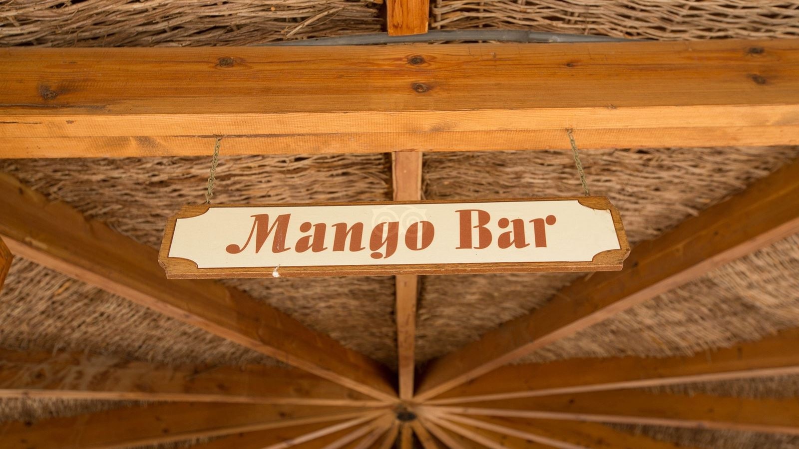 bars-mango-bar