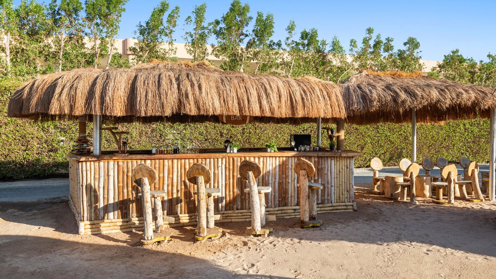 bars-oasis-beach-bar-только-для-взрослых-16+