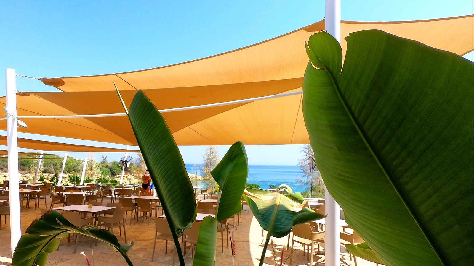 restaurants-restaurants