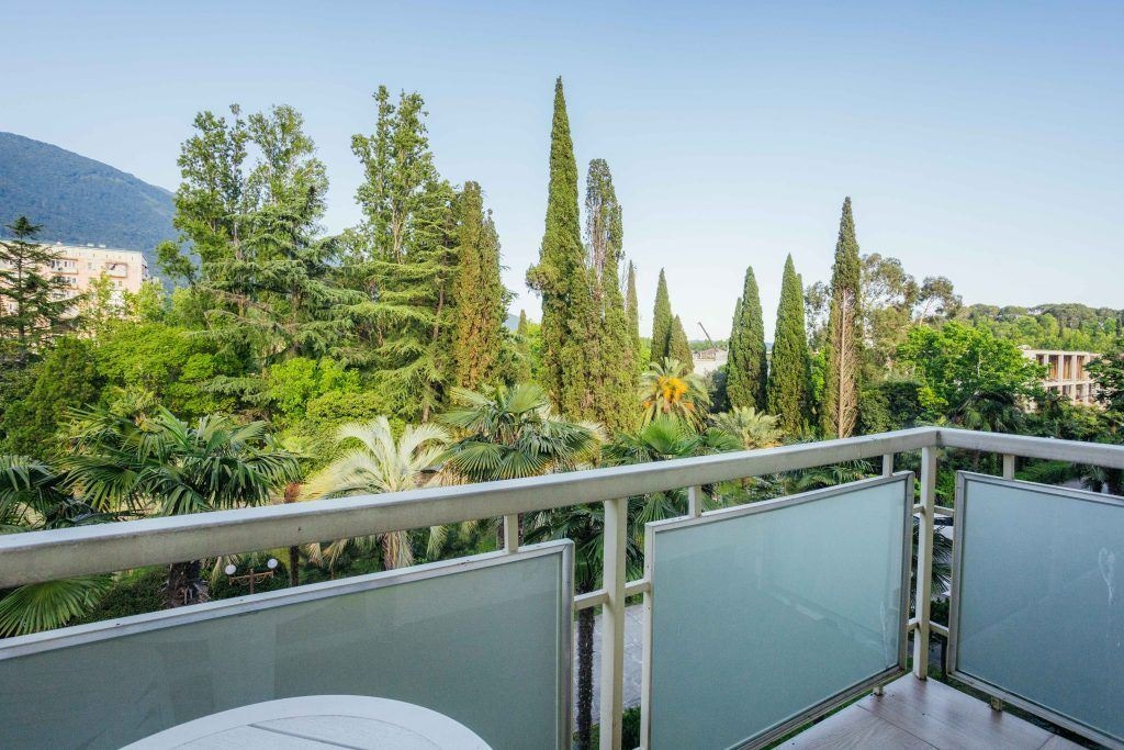 rooms-superior-2-rooms-with-balcony-park-view