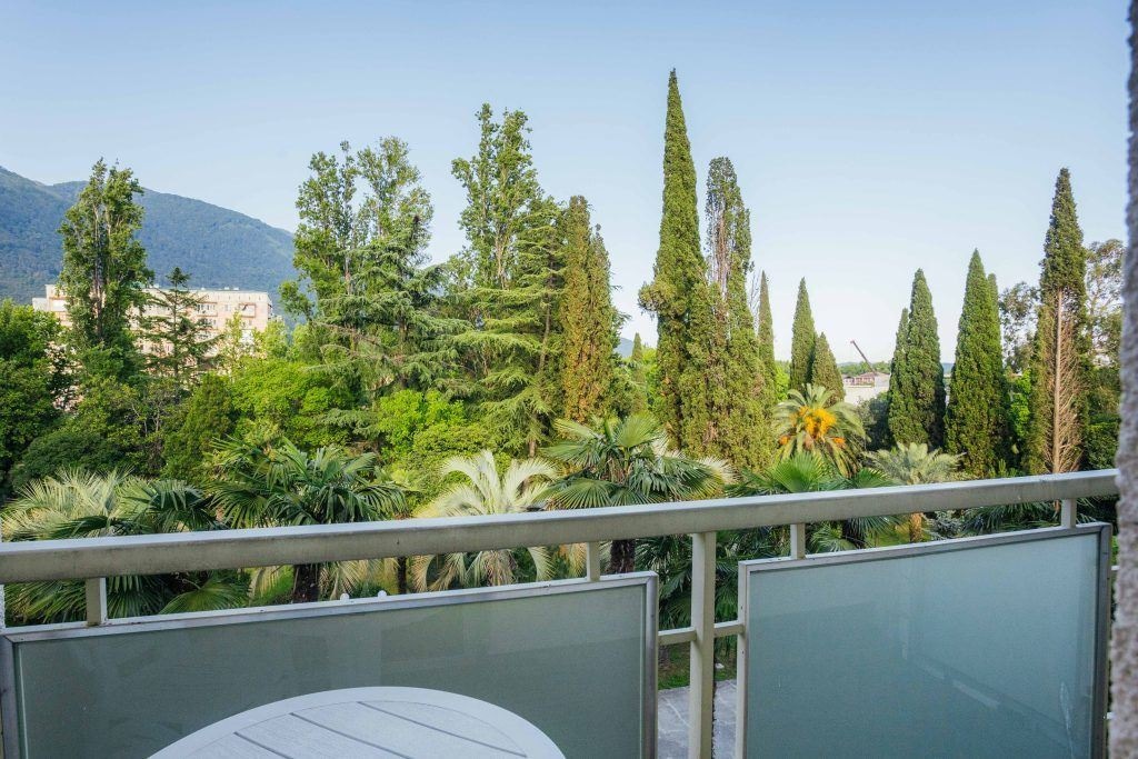 rooms-superior-2-rooms-with-balcony-park-view