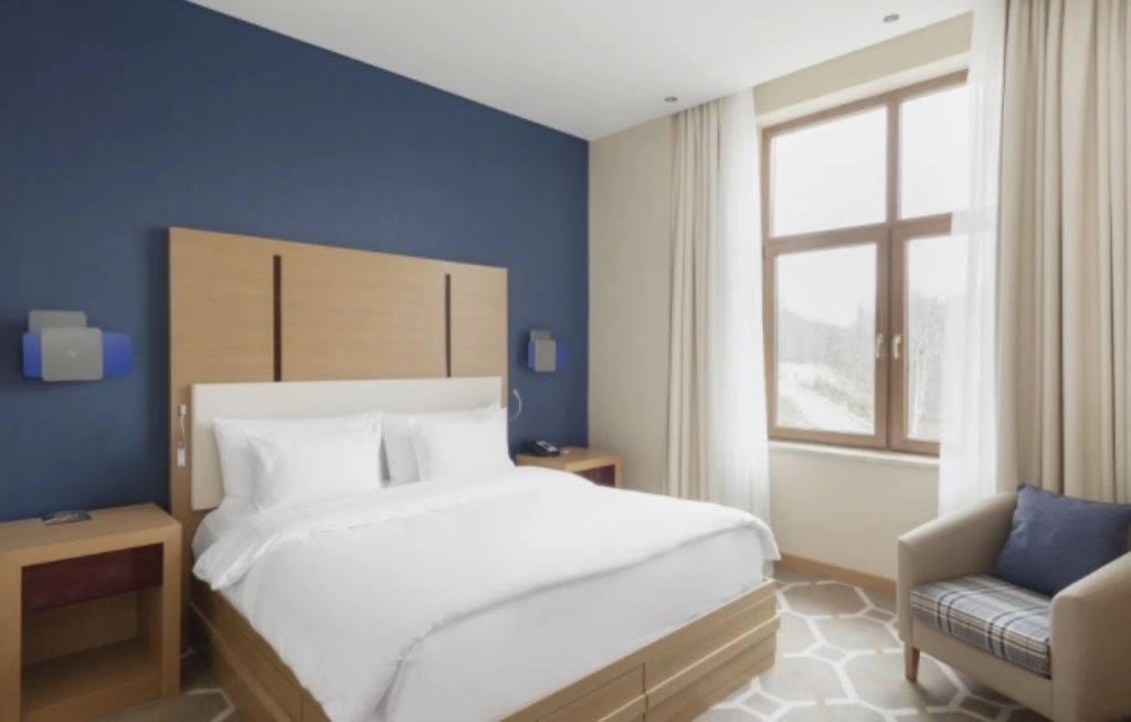 rooms-superior--vid-gory