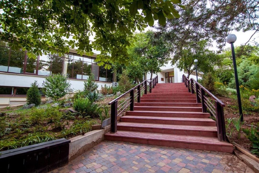 restaurants-stolovay