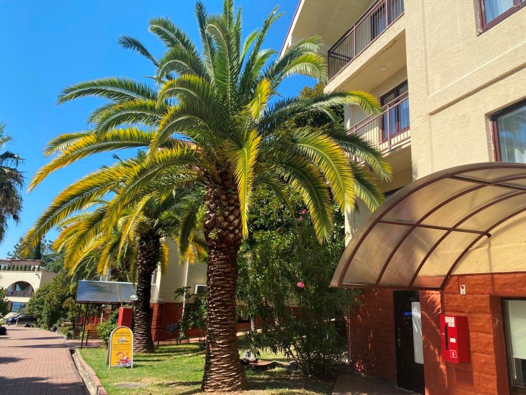 rooms-standart-twin-balcony