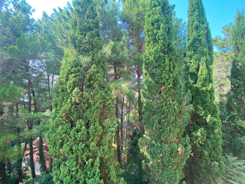 rooms-standart-dbl-glavniy-korp