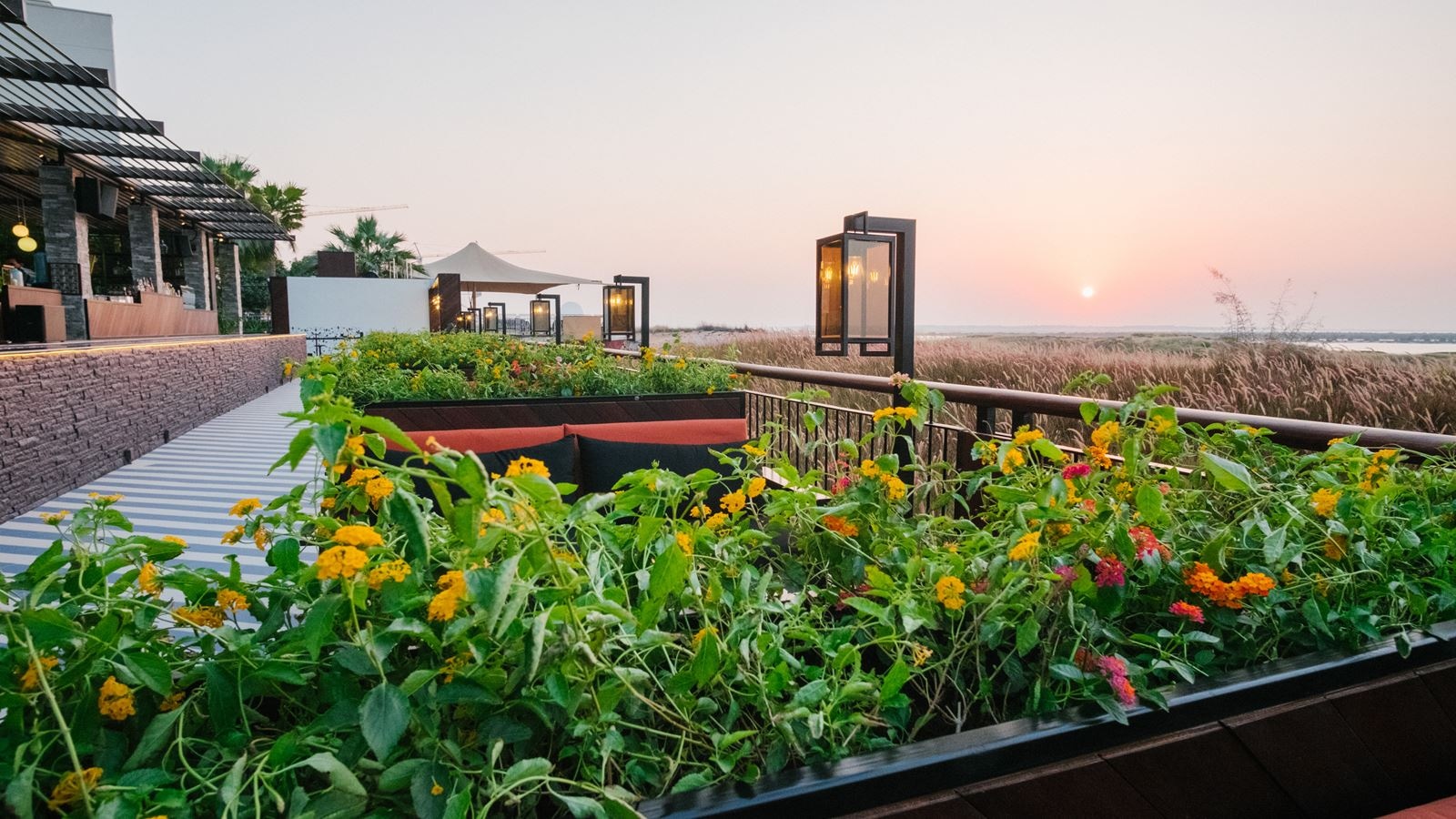 restaurants-filini-italian-restaurant