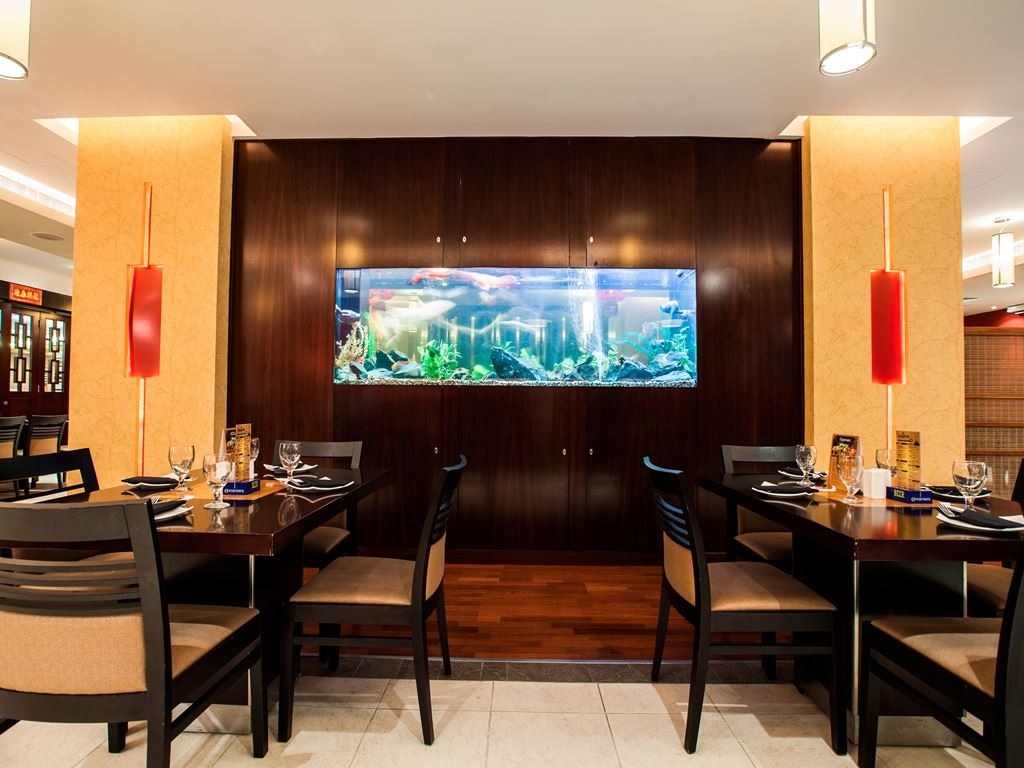 restaurants-sizzling-wok