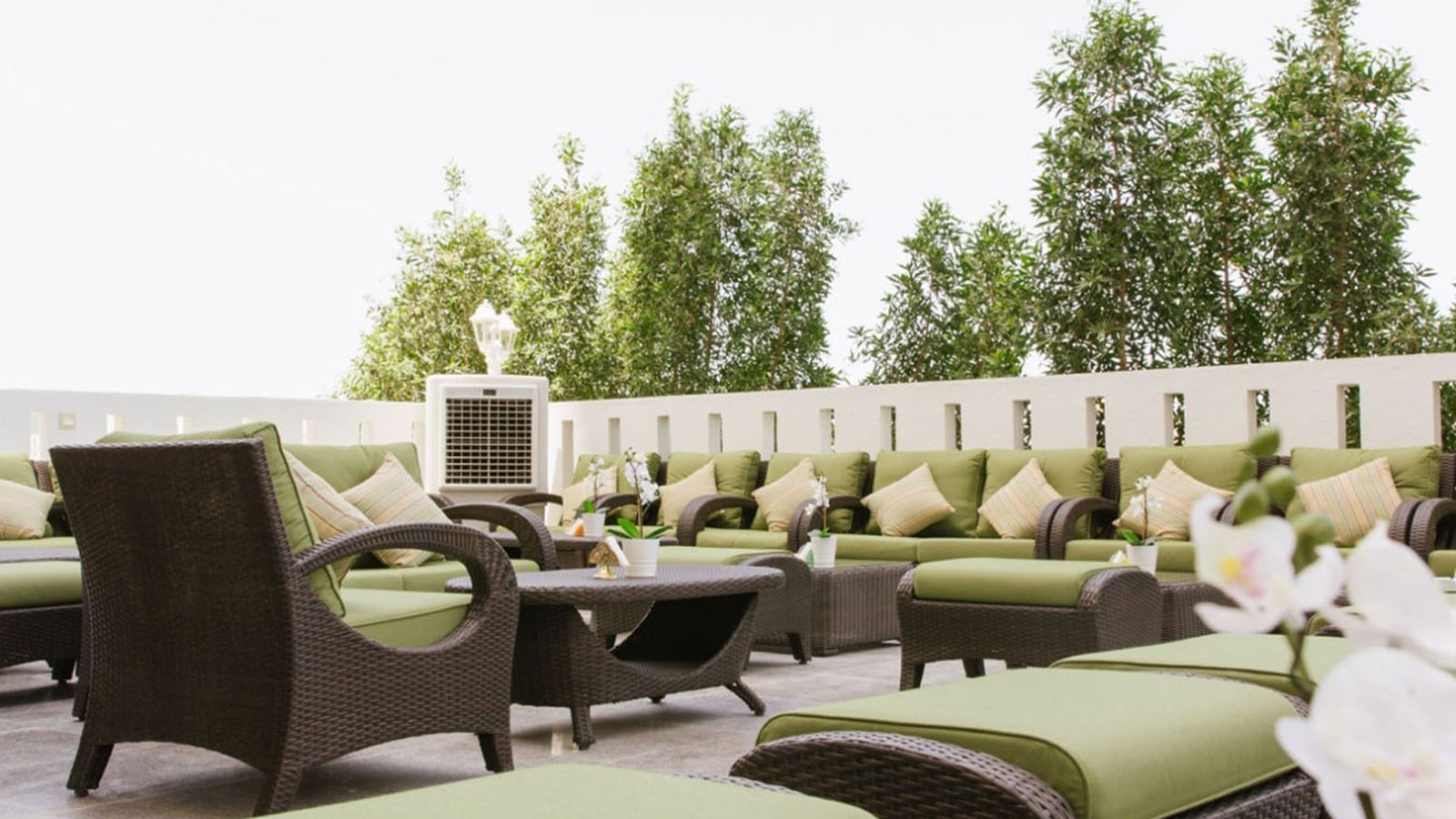 bars-the-hookah-lounge