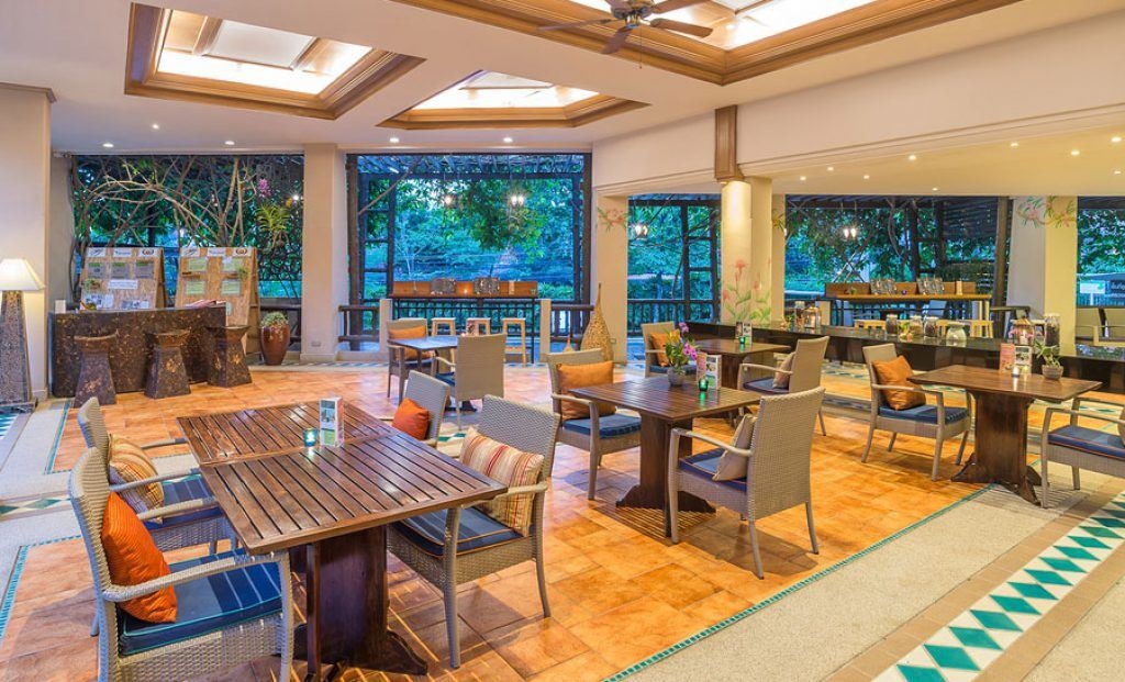 restaurants-tree-top-cafe