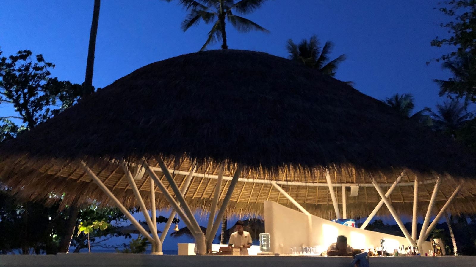 bars-the-senses-pool-bar