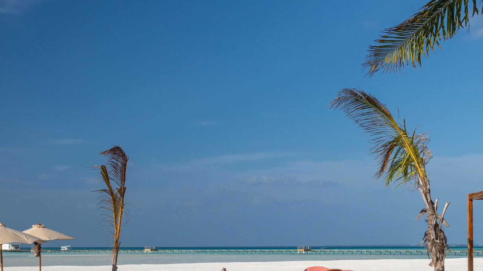 restaurants-main-pool-bar--lounge