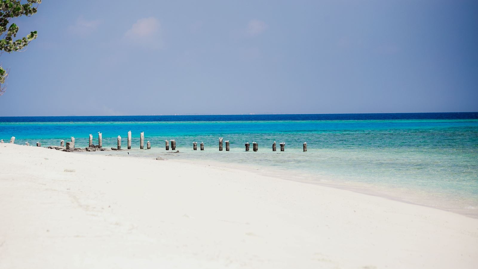 beach-beach