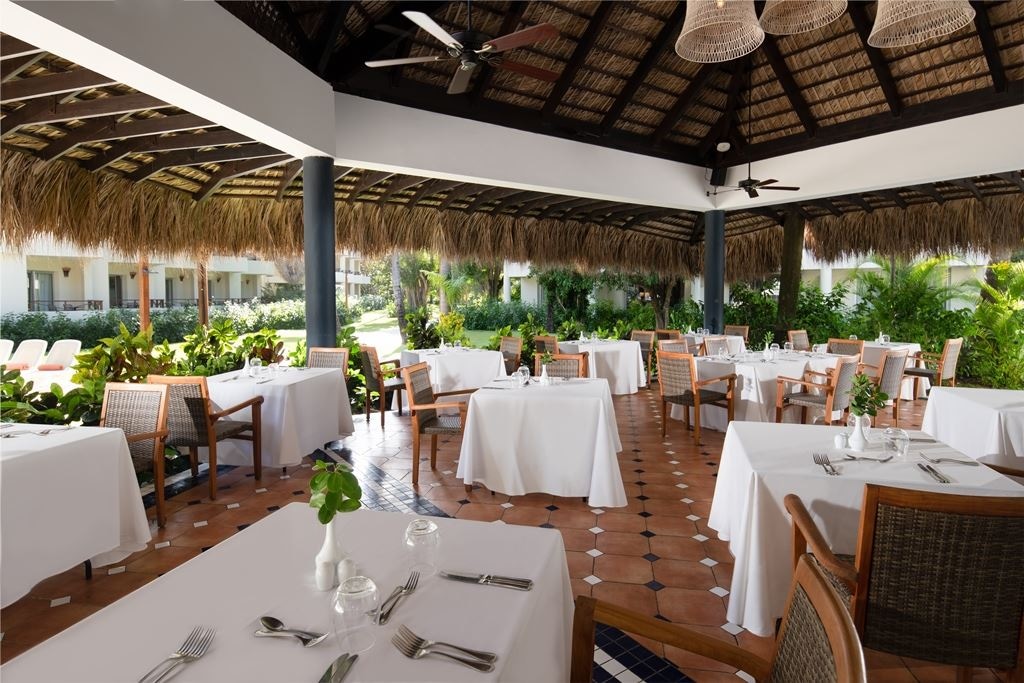 restaurants-olive-tree