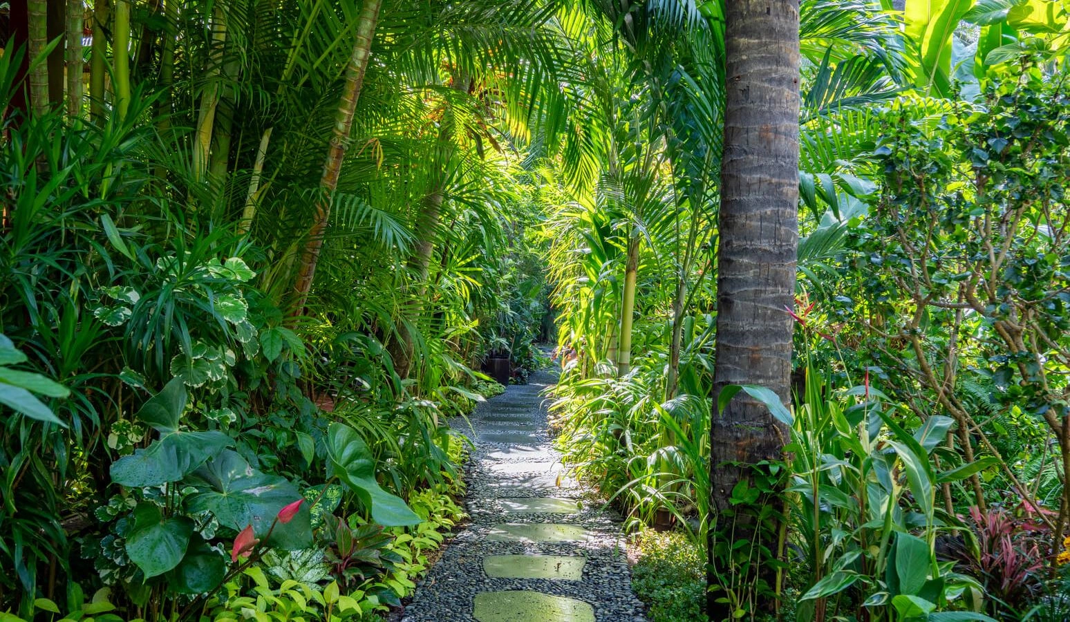 rooms-serene-oasic-bungalow-garden-view