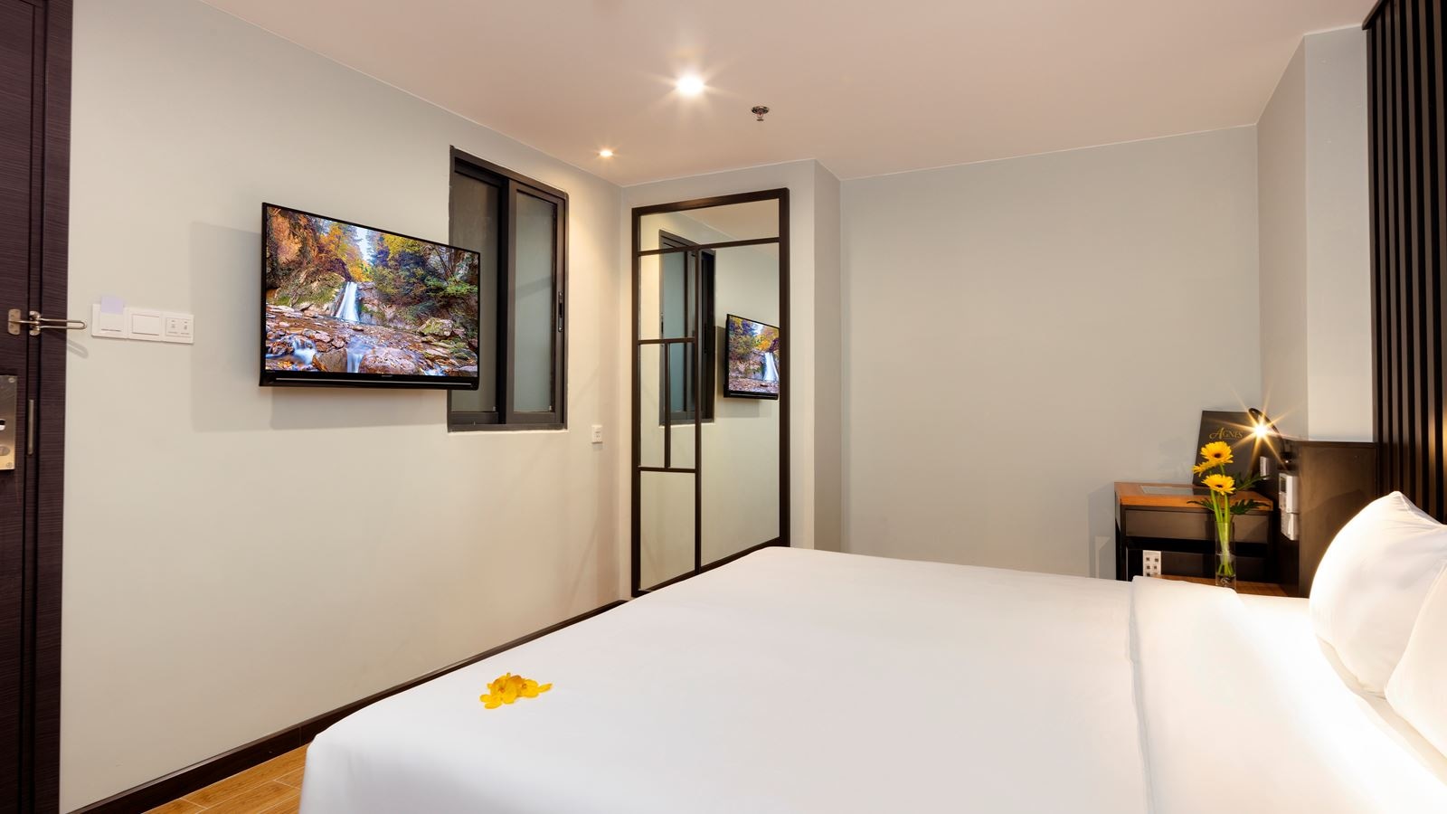 rooms-junior-city-view