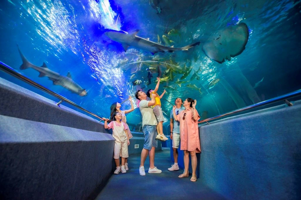 water-park-water-park