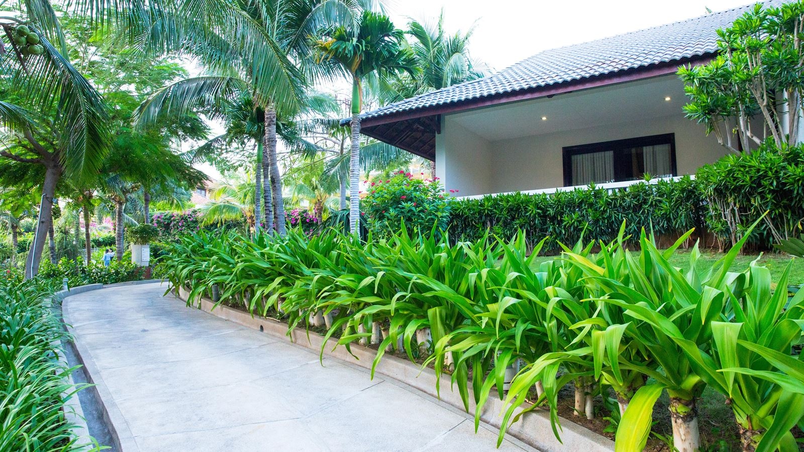 rooms-bungalow-garden-view