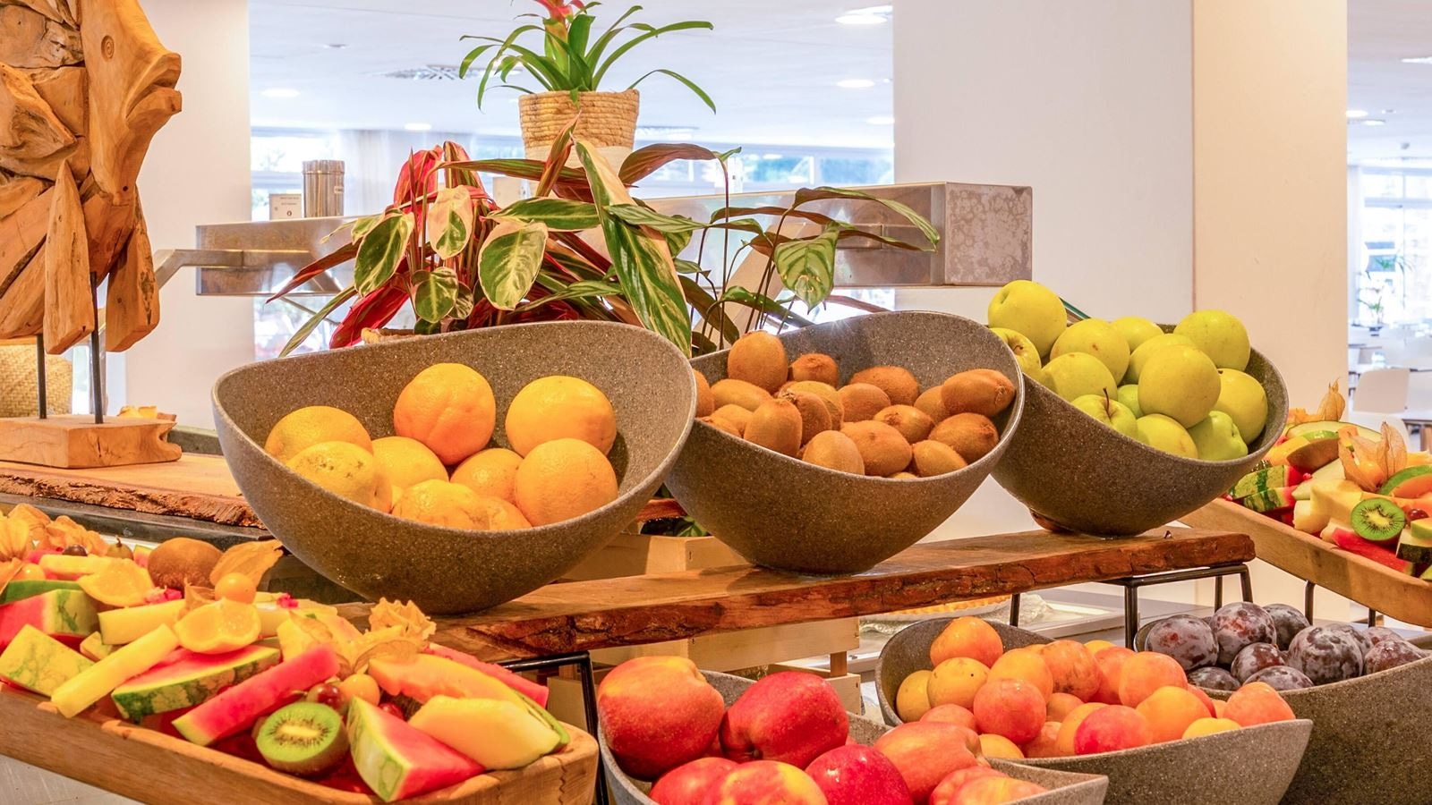 restaurants-sol-palmanova-i-restaurant