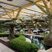 Рестораны preview