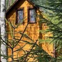 Общий preview