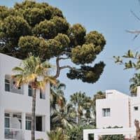 Общий preview