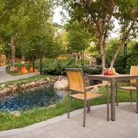 Рестораны preview